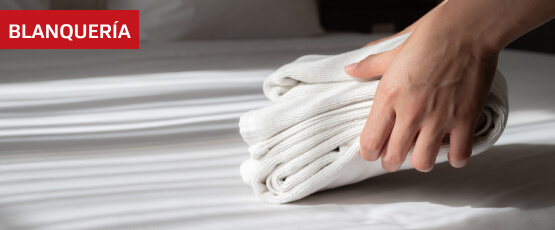 Categoría Blanquería