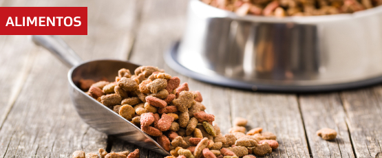 Categoría Alimentos para mascotas