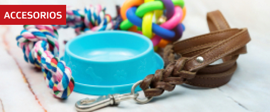 Categoría Accesorios para mascotas