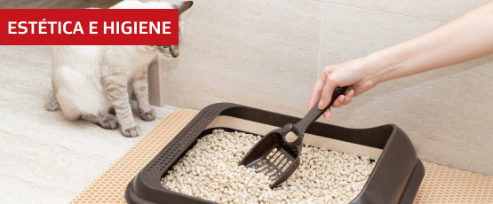 Categoría Estética e Higiene