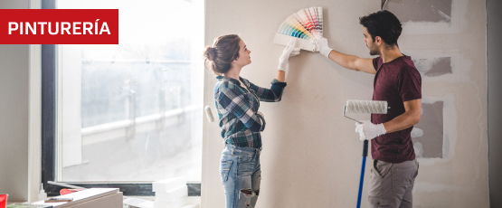 Categoría PINTURERÍA