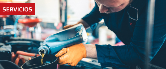 Categoría Servicios