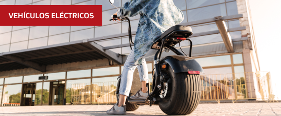 Categoría Vehículos eléctricos