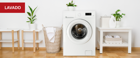 Categoría Lavado