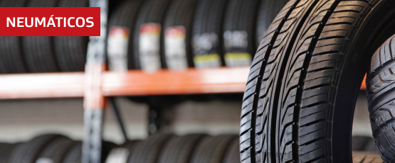 Categoría Neumáticos